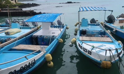 Gobierno invertirá 300 millones de dólares para electrificar sector camaronero / Foto: EFE