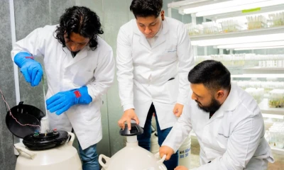 En este banco está la colección de cacao más grande de América Latina / Foto: cortesía Ministerio de Agricultura