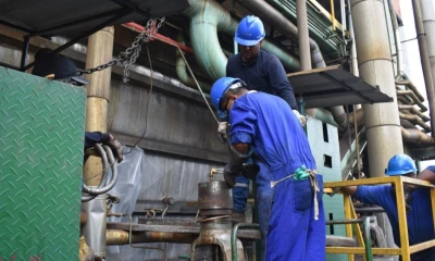 2 centrales en Guayaquil y Esmeraldas volvieron a operar / Foto: cortesía MAE