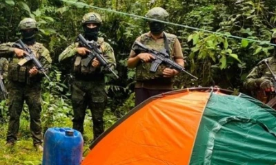 El operativo se desarrolló en el sector Flor del Valle./ Foto: cortesía Ministerio de Defensa