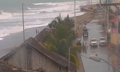 El fenómeno se ha presentado en zonas costeras de Chile, Perú y Ecuador / Foto: cortesía 
