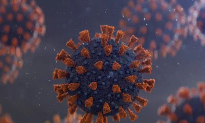 Aunque no ha demostrado ser grave, la variante FLiRT es muy contagiosa / Foto: cortesía Yale Medicine 