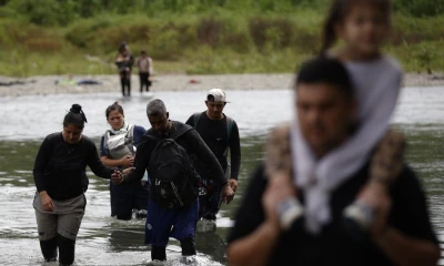 El descenso se intensificó a partir de 2025, con una reducción interanual estimada del 87 % / Foto: cortesía EFE