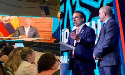 Ecuador declarará reserva natural a las 8 primeras millas de toda su costa / Foto: Cortesía ministerio de Ambiente