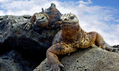 Photo: Maritime Herald