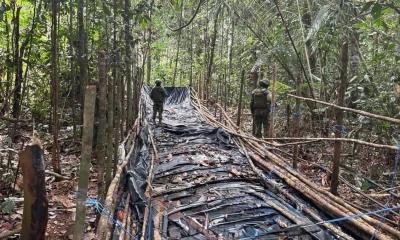 Estos corredores también sirven para actividades como el contrabando de combustibles, el tráfico de armas y la movilización de precursores químicos / Foto: cortesía Ejército Ecuatoriano