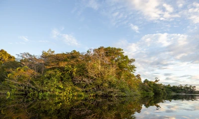 Su propuesta es que se "retiren inmediatamente del bloque ITT del Yasuní como un acto de responsabilidad climática global y respeto hacia los pueblos en aislamiento voluntario" / Foto: EFE