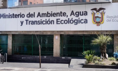 El sistema eléctrico ecuatoriano necesita a alguien con experiencia probada en generación, distribución y regulación / Foto: cortesía