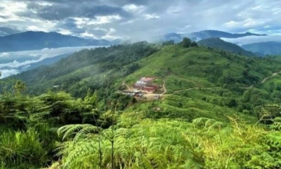 Lumina es la dueña del proyecto Cangrejos en El Oro / Foto: cortesía Lumina Gold