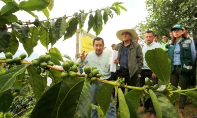 Foto: Agencia Peruana de Noticias