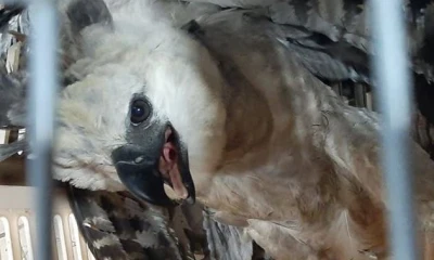 Foto: Pedro Andy Ruiz