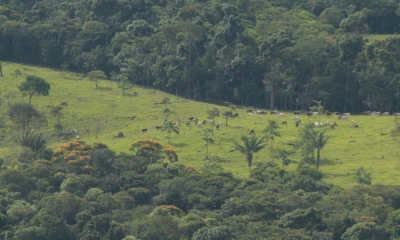 Estas actividades también a comunidades indígenas como los nukak / Foto: cortesía Catalina Sanabria