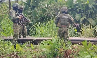 6 grupos terroristas están involucrados en este delito./ Foto: cortesía Ejército
