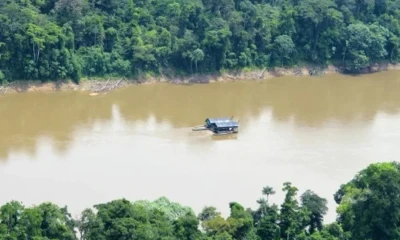 Las zonas afectadas incluyen comunidades nativas, concesiones bloqueadas y áreas de amortiguamiento de reservas naturales / Foto: cortesía El Búho