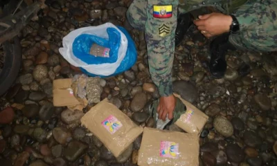 Con los exámenes, se determinó que se trataba de marihuana. Foto: Extra