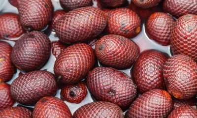 La cadena de valor del morete ha sido impulsada con una alianza liderada por la Fundación Pachamama y el Grupo AJE / Foto: cortesía 