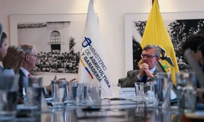Actualmente, más de 6.000 productos ecuatorianos cuentan con los requisitos fitosanitarios necesarios para ingresar a territorio estadounidense / Foto: cortesía MAGP