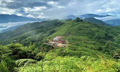El proyecto minero, Cangrejos, se ubica en la provincia de El Oro / Foto: cortesía Lumina Gold