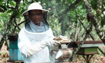 Nestlé Ecuador reafirmó su compromiso con la sostenibilidad y la adaptación al cambio climático / Foto: cortesía Nestlé