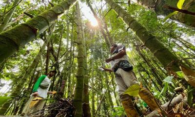 El taller fue organizado por la Dirección Distrital de Napo del MAG / Foto: cortesía MAG