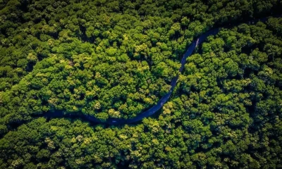El plan contempla tres tipos de infraestructura: fibra óptica fluvial, fibra subterránea e interconexión terrestre con redes ya existentes / Foto: cortesía Fondo Económico Mundial