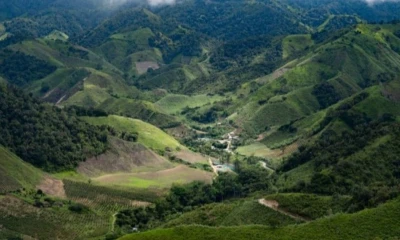 El proyecto permanece detenido debido a una combinación de factores legales, ambientales y sociales / Foto: cortesía 