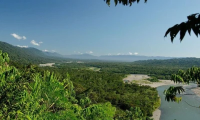 Este ecosistema desempeña un papel fundamental en la regulación climática y el ciclo del agua en el continente / Foto: cortesía Wakana Lodge
