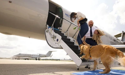 Bark Air es la primera aerolínea estadounidense dedicada exclusivamente a perros / Foto: cortesía Bark Air