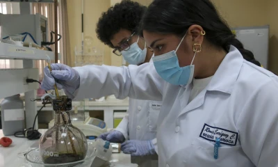 Grafeno sintetizado en Ecuador, un proyecto pionero de alentadores resultados / Foto: EFE