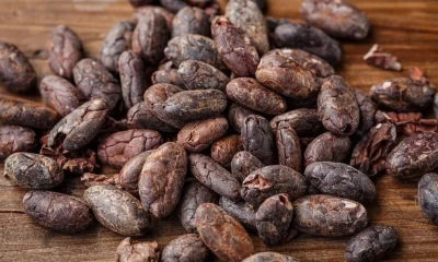 La tonelada de cacao para entrega en marzo cerró el 20 de febrero en $ 10.250 / Foto: cortesía 