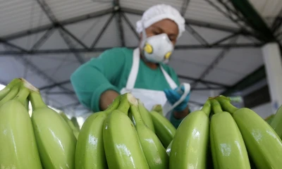 El anuncio del levantamiento del veto se dio un día después de que el Gobierno anunciase que enviará una misión a Rusia para superar la polémica / Foto: EFE