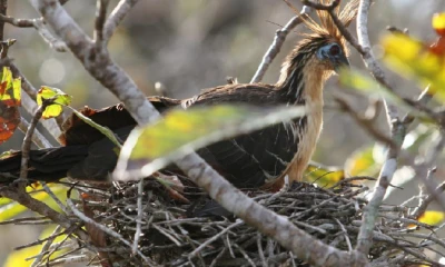 Ecuador, noveno país en confirmar el Acuerdo de Escazú / Foto: Cortesía Ministerio de Ambiente