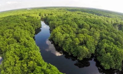 El Gobierno prepara un marco legal para realizar este tipo de transacciones con más facilidad/ Foto: cortesía Ministerio de Ambiente