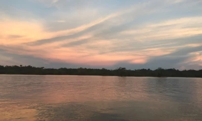 En 1980, la Cámara Nacional de Representantes oficializó el nombre de ‘Región Amazónica’ en lugar de ‘Oriente’ / Foto: El Oriente