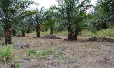 Foto: Radio Sucumbíos