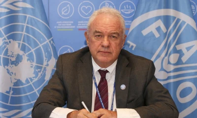 El 13 % de los alimentos del mundo se pierde en la cadena de suministro y otro 17 % se desperdicia en los hogares, servicios de alimentos y el comercio minorista/ Foto: cortesía FAO