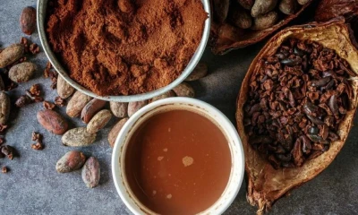 Las asociaciones de la industria registraron descensos en la molienda de cacao en Europa y Asia / Foto: cortesía Anáhuac México