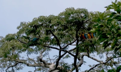 Cuáles son 5 destinos que no puede dejar de visitar en Sucumbíos / Foto: El Oriente