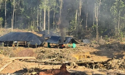 Entre abril y septiembre de 2025 se perdieron 37.109 hectáreas de bosque amazónico debido a la actividad minera / Foto: cortesía Ejército ecuatoriano