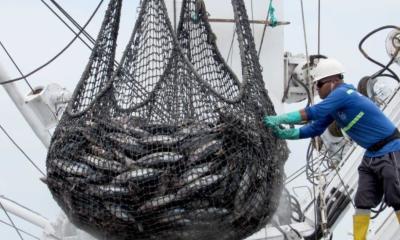 Manta, considerada el corazón de la industria atunera ecuatoriana / Foto: cortesía Ministerio de Producción 