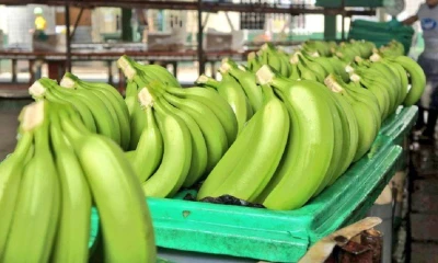 Principales noticias de Ecuador hoy - 5 de septiembre de 2023 / Foto: cortesía AEBE