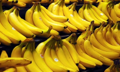 La AEBE informó que el crecimiento se concentró principalmente en mercados específicos / Foto: cortesía