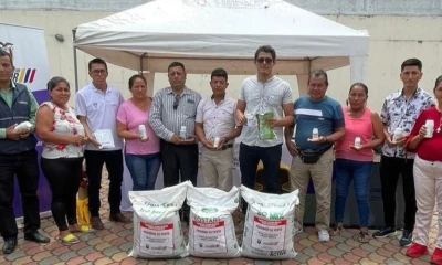 Los paquetes incluyen fertilizantes, fungicidas e insecticidas / Foto: cortesía MAG