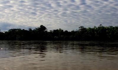 La denuncia fue presentada por dos guardaparques ante el MAE y la Arcom / Foto: cortesía