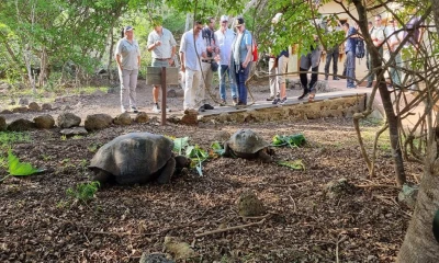 El primer trimestre de 2023 se registró más turistas que en el mismo período en los últimos 4 años/ Foto: Cortesía Ministerio de Ambiente