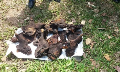 Foto: Ministerio Del Ambiente 