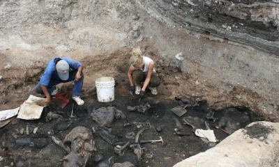 Este animal alcanzaba los 6 metros de alto y las 5 toneladas de peso/ Foto: Cortesía Syfy