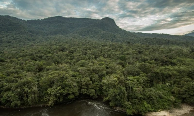 El ingreso a esta reserva, dada la lejanía a centros poblados y la dificultad de acceso, no está permitida a turistas / Foto: cortesía Nature and Culture International