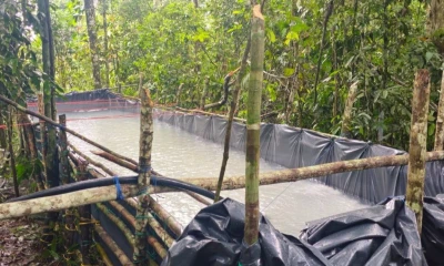 El personal uniformado descubrió una piscina artesanal que almacenaba aproximadamente 6.000 galones de combustible / Foto: cortesía Ejército Ecuatoriano