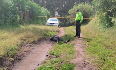 El cuerpo de ‘Don Naza’ fue encontrado en Quito / Foto: cortesía Teleamazonas